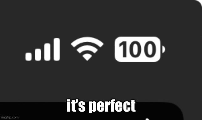 it’s perfect | made w/ Imgflip meme maker