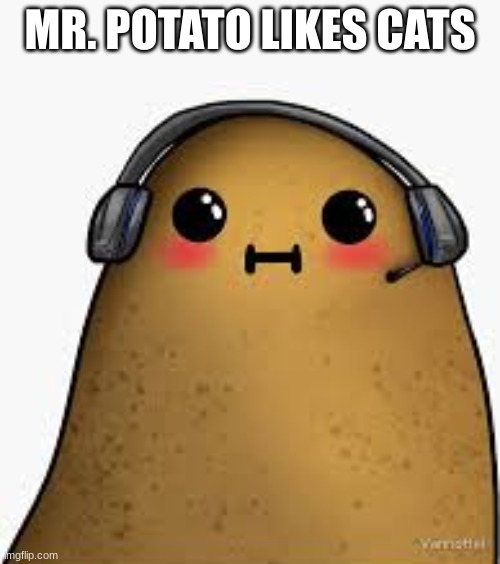 upvote if you think this is a cat | MR. POTATO LIKES CATS | image tagged in potato,cats | made w/ Imgflip meme maker