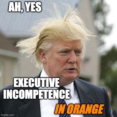 Donald Trump | AH, YES EXECUTIVE
INCOMPETENCE IN ORANGE | image tagged in donald trump | made w/ Imgflip meme maker