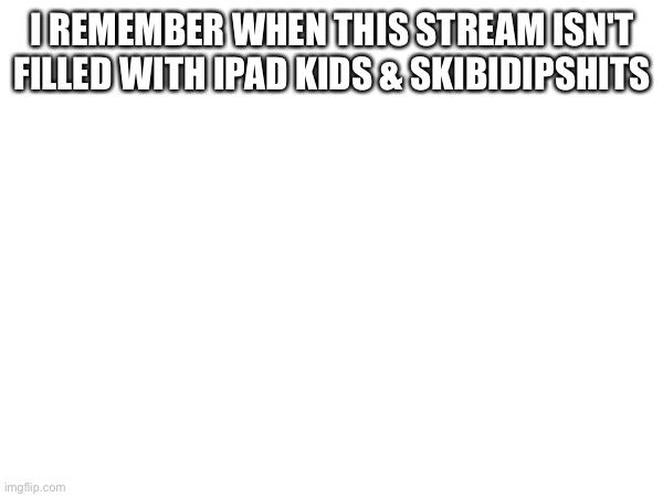 I REMEMBER WHEN THIS STREAM ISN'T FILLED WITH IPAD KIDS & SKIBIDIPSHITS | made w/ Imgflip meme maker