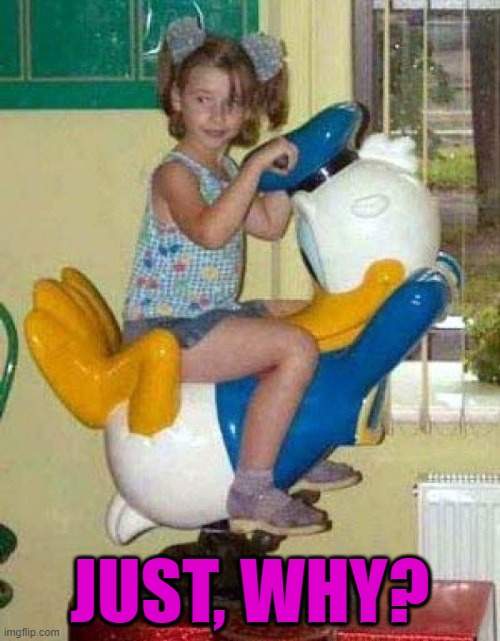 Not a good ride for girls | JUST, WHY? | image tagged in duck | made w/ Imgflip meme maker