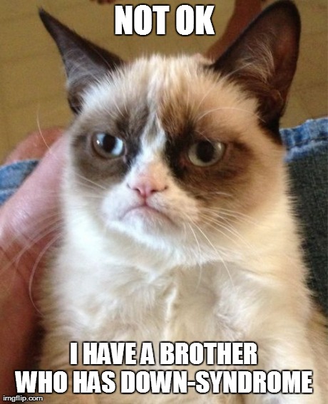 Grumpy Cat Meme | NOT OK I HAVE A BROTHER WHO HAS DOWN-SYNDROME | image tagged in memes,grumpy cat | made w/ Imgflip meme maker