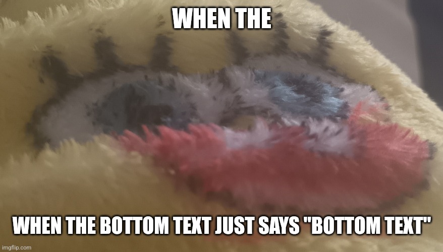 New meme template | WHEN THE; WHEN THE BOTTOM TEXT JUST SAYS "BOTTOM TEXT" | image tagged in spongebob blanket blursed face | made w/ Imgflip meme maker