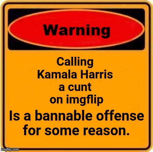 She isn't black, either. | image tagged in kamala harris | made w/ Imgflip meme maker