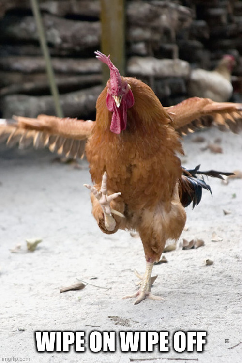 Karate Chicken | WIPE ON WIPE OFF | image tagged in karate chicken | made w/ Imgflip meme maker