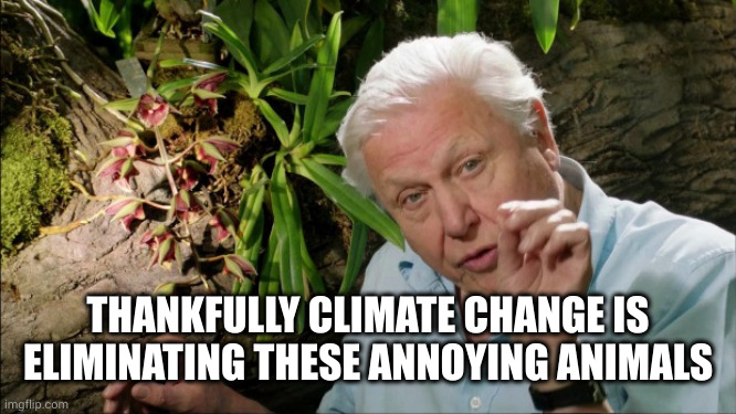 David Attenborough | THANKFULLY CLIMATE CHANGE IS ELIMINATING THESE ANNOYING ANIMALS | image tagged in david attenborough | made w/ Imgflip meme maker