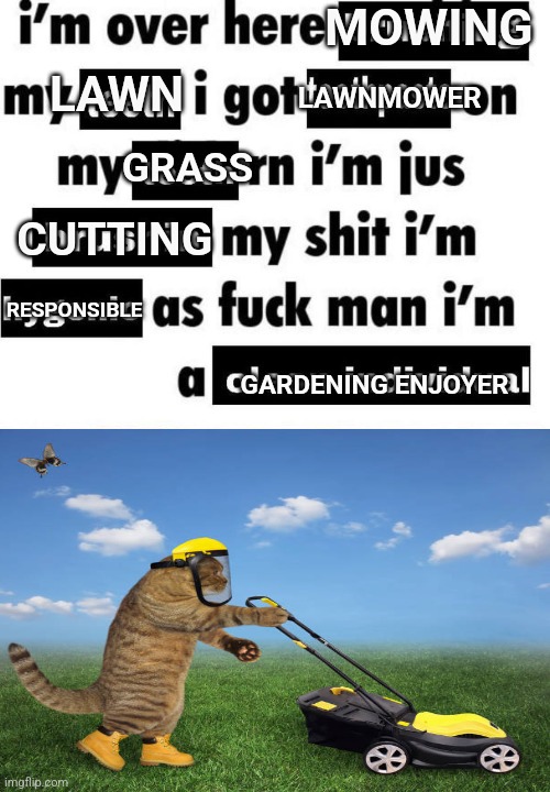 I'm over here mowing my lawn | MOWING; LAWN; LAWNMOWER; GRASS; CUTTING; RESPONSIBLE; GARDENING ENJOYER | image tagged in i m over here brushing my teeth i got toothpaste on my teeth rn | made w/ Imgflip meme maker