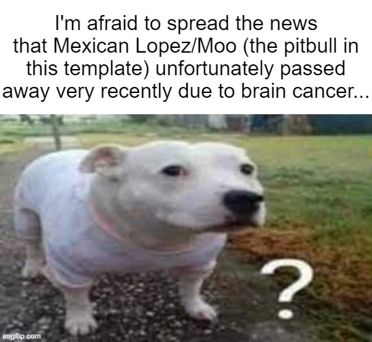 May Moo ask their questions in heaven... | I'm afraid to spread the news that Mexican Lopez/Moo (the pitbull in this template) unfortunately passed away very recently due to brain cancer... | image tagged in dog question mark | made w/ Imgflip meme maker