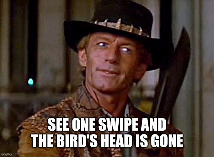 Crocodile Dundee Knife | SEE ONE SWIPE AND THE BIRD'S HEAD IS GONE | image tagged in crocodile dundee knife | made w/ Imgflip meme maker