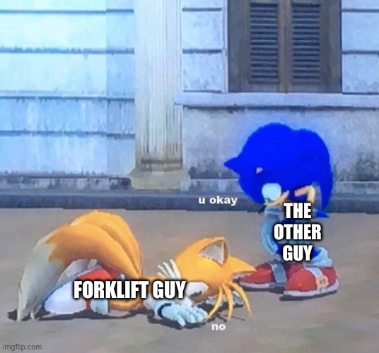 Sonic Asks Tails If He's Okay | THE
OTHER
GUY FORKLIFT GUY | image tagged in sonic asks tails if he's okay | made w/ Imgflip meme maker