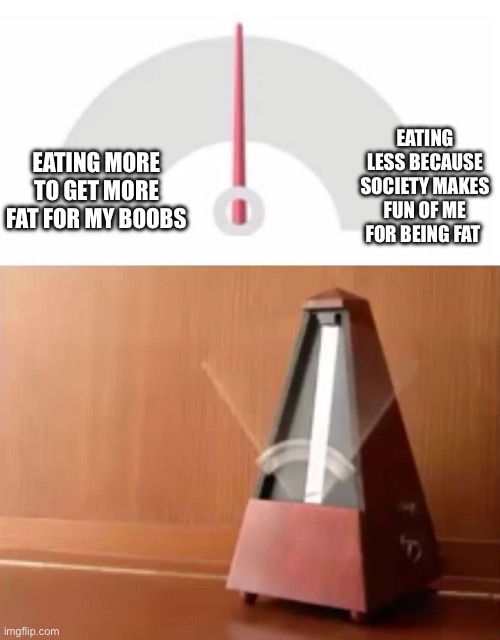 The paradox of female resocialization | EATING LESS BECAUSE SOCIETY MAKES FUN OF ME FOR BEING FAT; EATING MORE TO GET MORE FAT FOR MY BOOBS | image tagged in metronome,transgender,woman,resocialization,funny,female | made w/ Imgflip meme maker