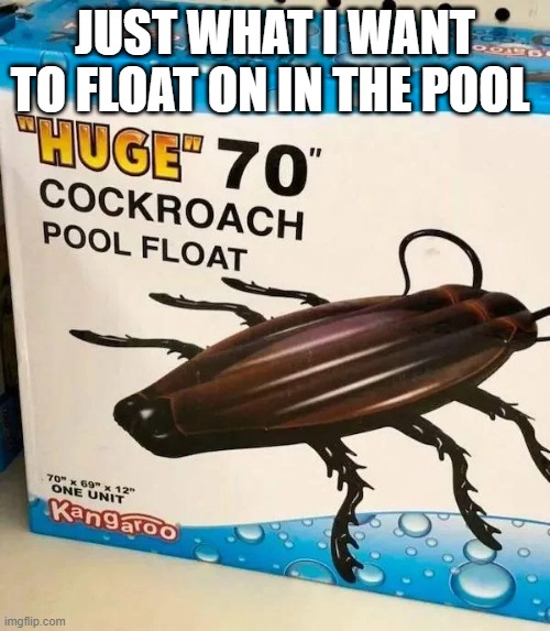 Bug Float | JUST WHAT I WANT TO FLOAT ON IN THE POOL | image tagged in unsee juice | made w/ Imgflip meme maker