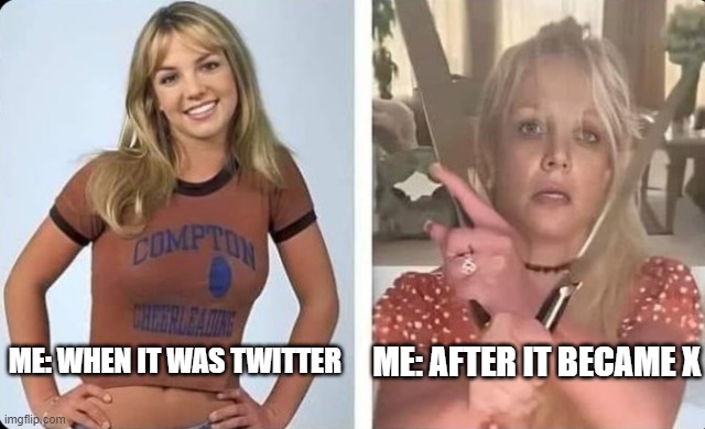 After Twitter Became X | ME: WHEN IT WAS TWITTER; ME: AFTER IT BECAME X | image tagged in twitter,elon musk buying twitter,social media | made w/ Imgflip meme maker