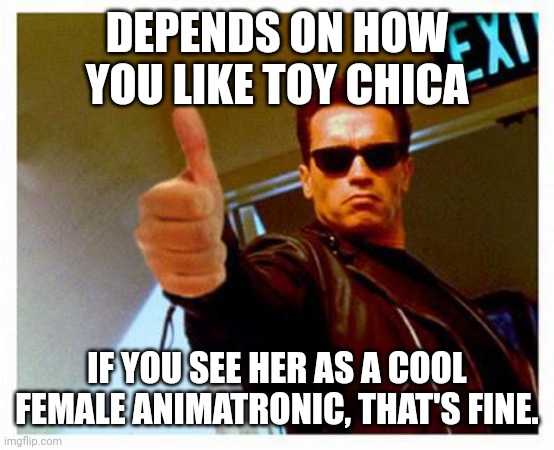 terminator thumbs up | DEPENDS ON HOW YOU LIKE TOY CHICA IF YOU SEE HER AS A COOL FEMALE ANIMATRONIC, THAT'S FINE. | image tagged in terminator thumbs up | made w/ Imgflip meme maker