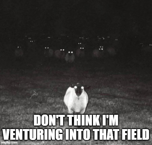 Sheep | DON'T THINK I'M VENTURING INTO THAT FIELD | image tagged in cursed image | made w/ Imgflip meme maker