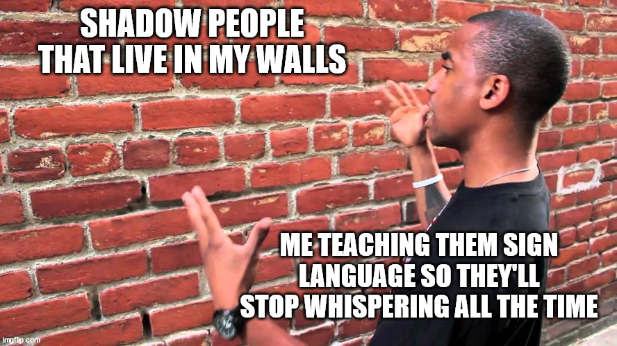 Teaching shadow people | SHADOW PEOPLE THAT LIVE IN MY WALLS; ME TEACHING THEM SIGN LANGUAGE SO THEY'LL STOP WHISPERING ALL THE TIME | image tagged in talking to wall | made w/ Imgflip meme maker