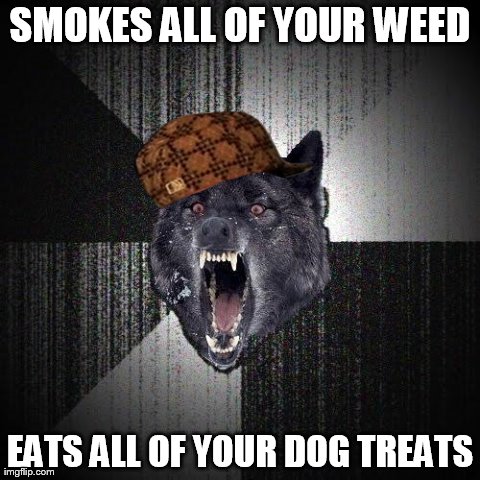 Insanity Wolf | SMOKES ALL OF YOUR WEED EATS ALL OF YOUR DOG TREATS | image tagged in memes,insanity wolf,scumbag | made w/ Imgflip meme maker