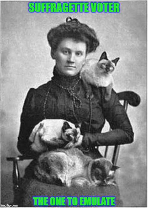 Vintage Cat Lady | SUFFRAGETTE VOTER; THE ONE TO EMULATE | image tagged in vintage cat lady | made w/ Imgflip meme maker