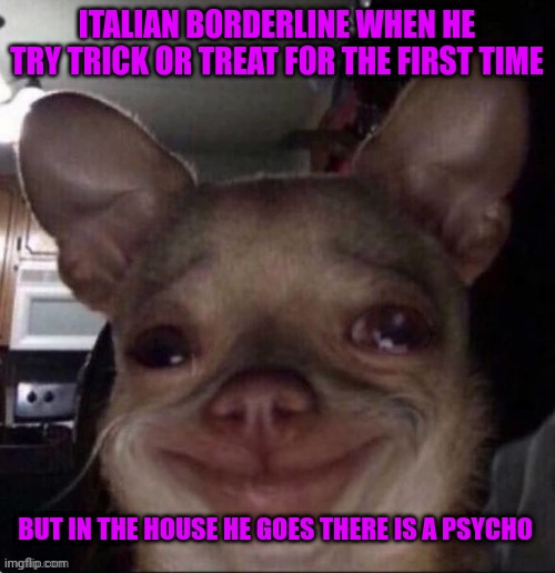 it would be hilarious, i guess | ITALIAN BORDERLINE WHEN HE TRY TRICK OR TREAT FOR THE FIRST TIME; BUT IN THE HOUSE HE GOES THERE IS A PSYCHO | image tagged in crying dog | made w/ Imgflip meme maker