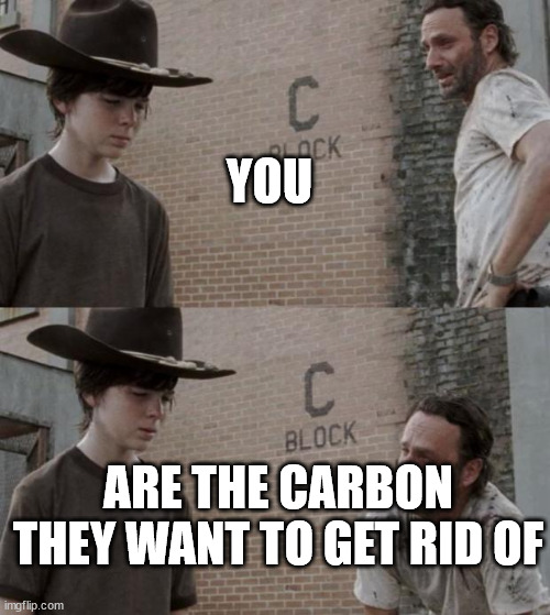 You are the carbon they want to get rid of | YOU; ARE THE CARBON THEY WANT TO GET RID OF | image tagged in climate change,paris climate deal,climate,freedom,republic,the scroll of truth | made w/ Imgflip meme maker