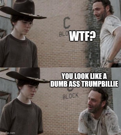 TrumpBillies | WTF? YOU LOOK LIKE A DUMB ASS TRUMPBILLIE | image tagged in memes,rick and carl | made w/ Imgflip meme maker