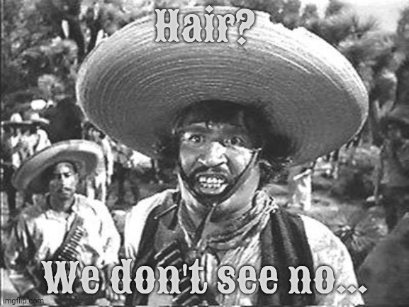 We Don't Need No Stinking | Hair? We don't see no... | image tagged in we don't need no stinking | made w/ Imgflip meme maker