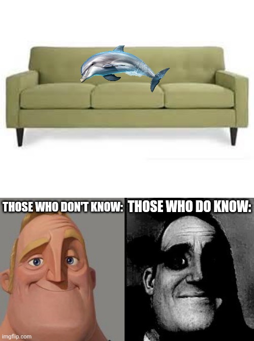 If ya know, ya know | THOSE WHO DO KNOW:; THOSE WHO DON'T KNOW: | image tagged in couch,traumatized mr incredible,jd vance | made w/ Imgflip meme maker