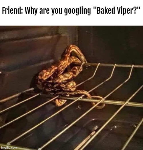 Friend: Why are you googling "Baked Viper?" | image tagged in funny,nsfw | made w/ Imgflip meme maker