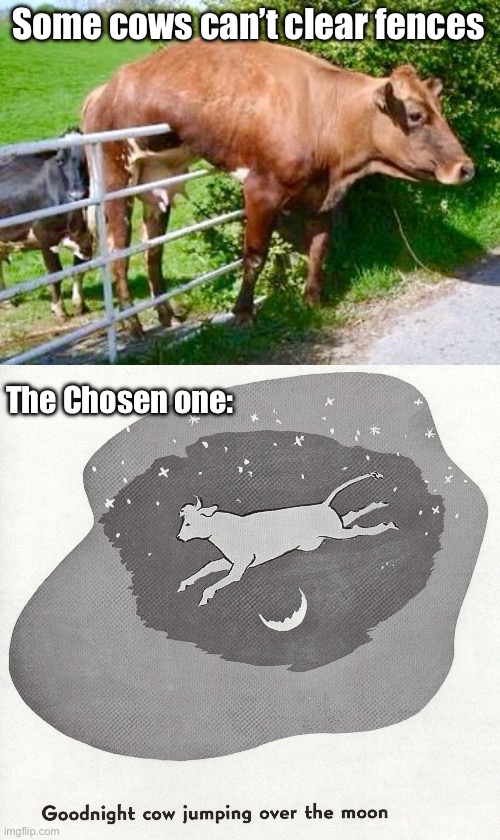 Chosen cow | Some cows can’t clear fences; The Chosen one: | image tagged in cow can t jump over the moon,cow jumping over the moon,cow,superheroes | made w/ Imgflip meme maker