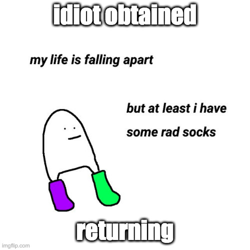 rad socks | idiot obtained; returning | image tagged in rad socks | made w/ Imgflip meme maker