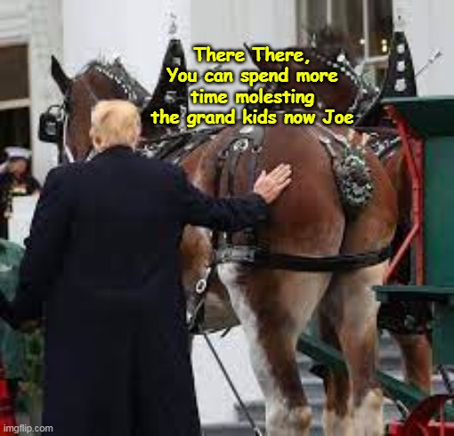 There There, You can spend more time molesting the grand kids now Joe | made w/ Imgflip meme maker