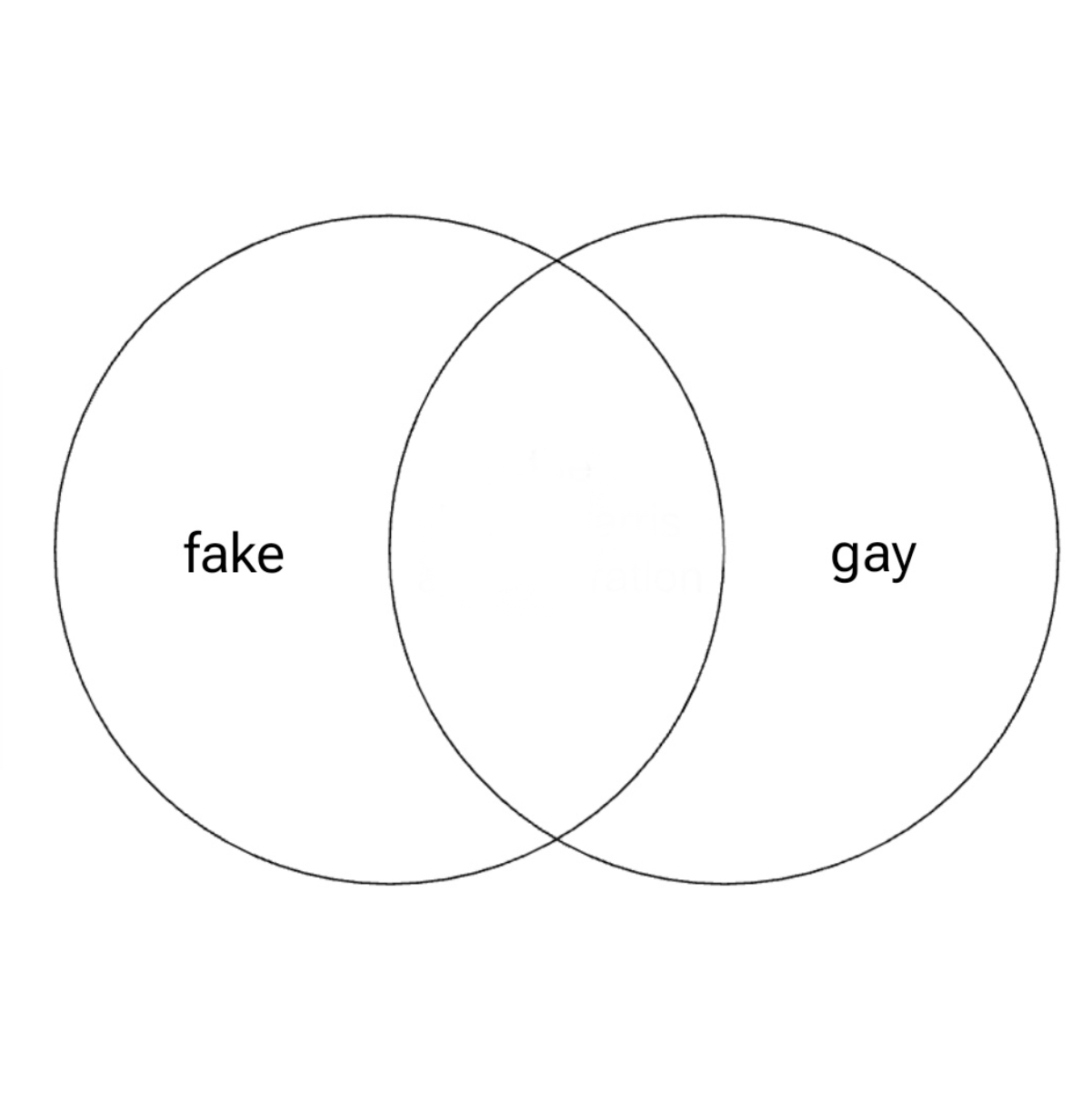 Fake and gay Blank Meme Template