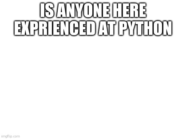 IS ANYONE HERE EXPRIENCED AT PYTHON | made w/ Imgflip meme maker