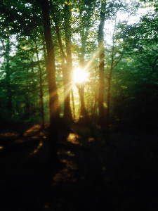 image tagged in gifs | made w/ Imgflip images-to-gif maker
