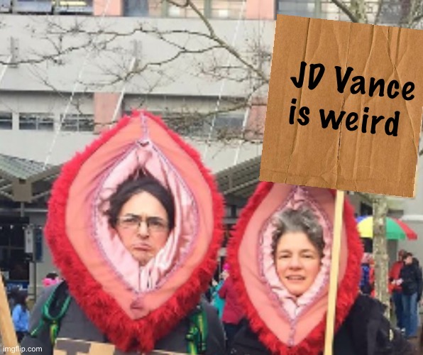 The Vjj hats hath spoken | JD Vance is weird | image tagged in politics lol,memes,derp | made w/ Imgflip meme maker