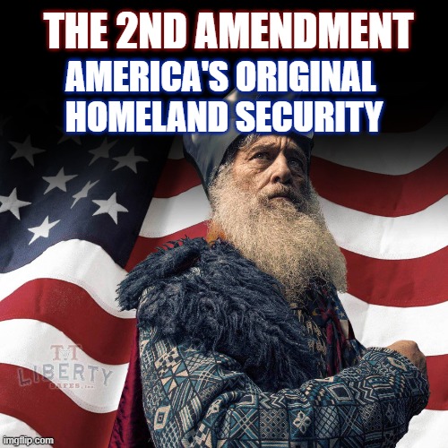 2nd Amendment | THE 2ND AMENDMENT; AMERICA'S ORIGINAL 
HOMELAND SECURITY | image tagged in meme,guns,gun rights,america,american flag | made w/ Imgflip meme maker