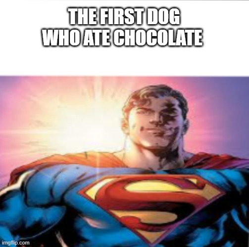 That's More Respect Than A King | THE FIRST DOG WHO ATE CHOCOLATE | image tagged in superman starman meme,memes,dog,chocolate,respect,good boy | made w/ Imgflip meme maker