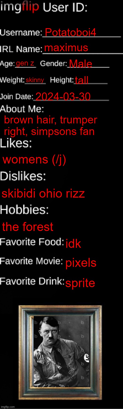 pow | Potatoboi4; maximus; gen z; Male; skinny; tall; 2024-03-30; brown hair, trumper right, simpsons fan; womens (/j); skibidi ohio rizz; the forest; idk; pixels; sprite | image tagged in imgflip id card | made w/ Imgflip meme maker