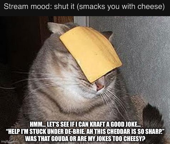 LGBTQ Stream mood shitpost: cheese slap | HMM… LET'S SEE IF I CAN KRAFT A GOOD JOKE…
“HELP I’M STUCK UNDER DE-BRIE. AH THIS CHEDDAR IS SO SHARP.”
WAS THAT GOUDA OR ARE MY JOKES TOO CHEESY? | image tagged in cats with cheese,cheese,cats,cat,lgbtq | made w/ Imgflip meme maker