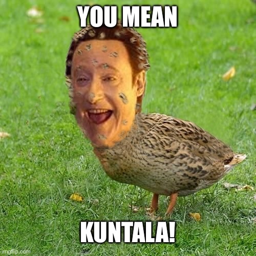 YOU MEAN KUNTALA! | image tagged in the data ducky | made w/ Imgflip meme maker