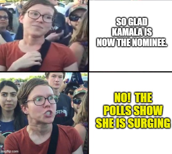 Kamala | SO GLAD KAMALA IS NOW THE NOMINEE. NO!  THE POLLS SHOW SHE IS SURGING | image tagged in triggered liberal woman nice and mean,kamala | made w/ Imgflip meme maker