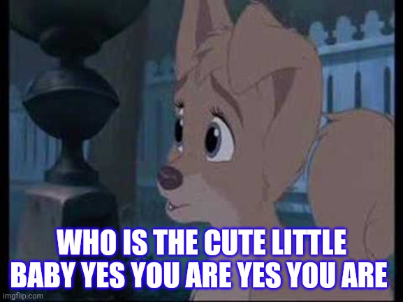 Who The Cute Little Baby | WHO IS THE CUTE LITTLE BABY YES YOU ARE YES YOU ARE | image tagged in lady and the tramp 2 angel | made w/ Imgflip meme maker