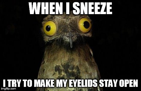 Weird Stuff I Do Potoo | WHEN I SNEEZE I TRY TO MAKE MY EYELIDS STAY OPEN | image tagged in memes,weird stuff i do potoo | made w/ Imgflip meme maker