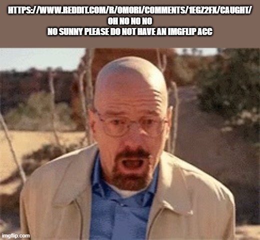 (sunny's mom saw loona on snuuy's computer no no no) | HTTPS://WWW.REDDIT.COM/R/OMORI/COMMENTS/1EGZ2FX/CAUGHT/
OH NO NO NO NO SUNNY PLEASE DO NOT HAVE AN IMGFLIP ACC | image tagged in walter white | made w/ Imgflip meme maker