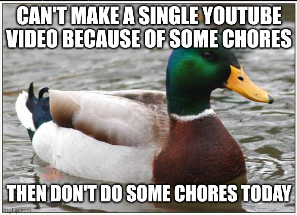 Actual Advice Mallard Meme | CAN'T MAKE A SINGLE YOUTUBE VIDEO BECAUSE OF SOME CHORES; THEN DON'T DO SOME CHORES TODAY | image tagged in memes,actual advice mallard | made w/ Imgflip meme maker