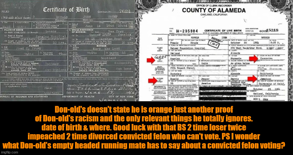 Trump is green with envy & orange with hate | Don-old's doesn't state he is orange just another proof of Don-old's racism and the only relevant things he totally ignores. date of birth & where. Good luck with that BS 2 time loser twice impeached 2 time divorced convicted felon who can't vote. PS I wonder what Don-old's empty headed running mate has to say about a convicted felon voting? | image tagged in it's in black and white,obama's birth,harris birth,trump birth,convictedv felon,racist staements | made w/ Imgflip meme maker