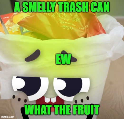 Smelly Trash Can | A SMELLY TRASH CAN; EW; WHAT THE FRUIT | image tagged in doodland,memes,funny | made w/ Imgflip meme maker