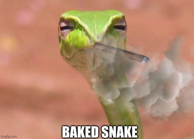 Skeptical snake | BAKED SNAKE | image tagged in skeptical snake | made w/ Imgflip meme maker