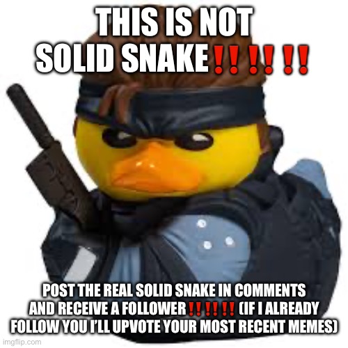 Solid squeak | THIS IS NOT SOLID SNAKE‼️‼️‼️; POST THE REAL SOLID SNAKE IN COMMENTS AND RECEIVE A FOLLOWER‼️‼️‼️ (IF I ALREADY FOLLOW YOU I’LL UPVOTE YOUR MOST RECENT MEMES) | image tagged in solid squeak | made w/ Imgflip meme maker