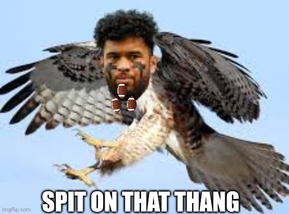 Hawk tua | SPIT ON THAT THANG | image tagged in hawk tuah,hawk,football,miami,miami dolphins,dolphins | made w/ Imgflip meme maker